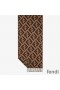 Fendi FF Scarf In Cashmere Brown