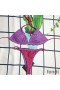 Fendi Reversible Triangular Bikini with Ties Women Skims Logo Motif Lycra Purple/Rose